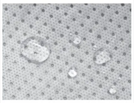 Designer Series UV Hydro Micro